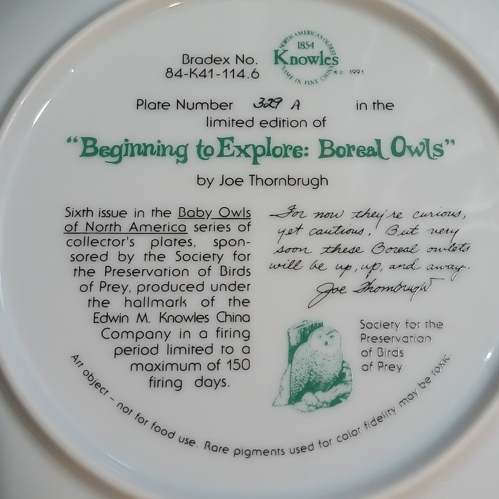 "Beginning To Explore" Boreal Owls | Signed | Limited Edition - Picture 3 of 5